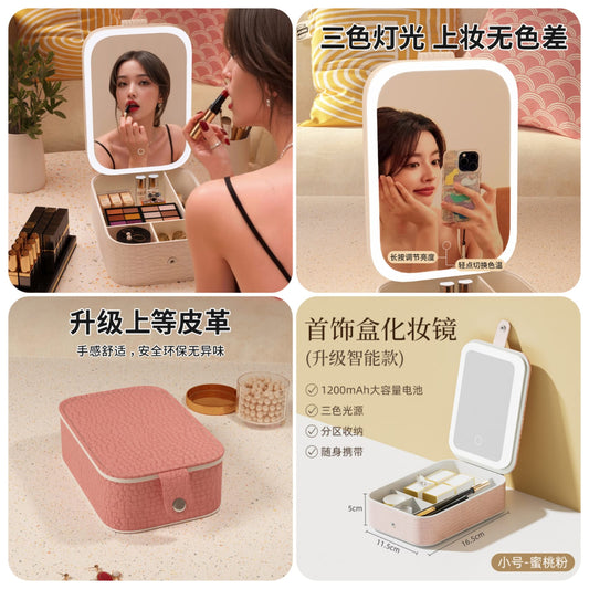 LED Makeup Vanity Case with Mirror | Portable Cosmetic Storage Box &amp; Travel Makeup Organizer